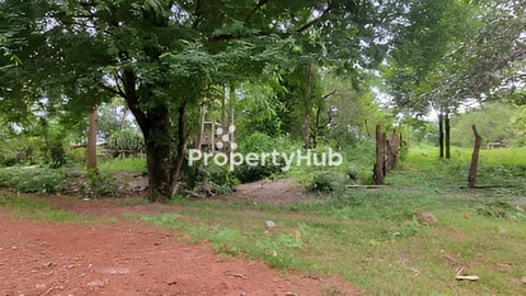 ដីភូមិលក់ សៀមរាប