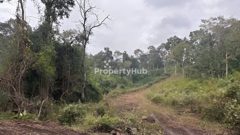 ដី សម្រាប់លក់