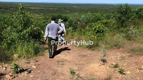 Land nearby national road 4