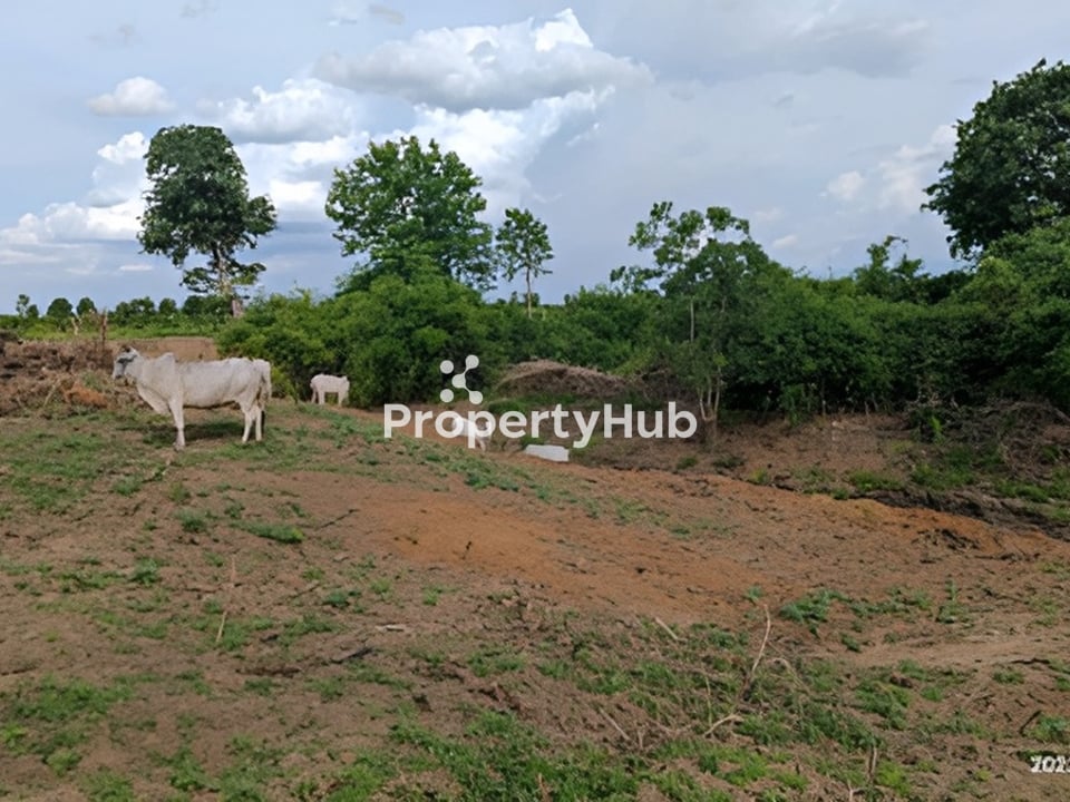 Property 4
