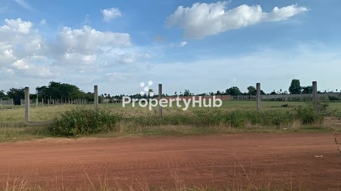 គម្រោងឃ្លាំងជួល៖ សង់ជូនថ្មីស្រឡាងតាមតម្រូវការអតិថិជន / Built-to-Suit Warehouse f