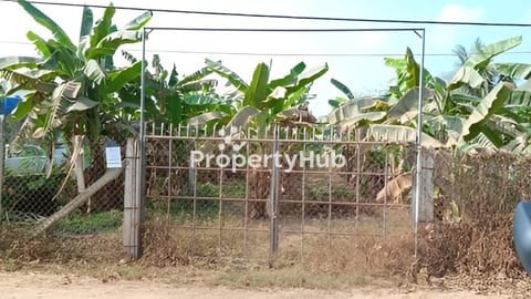 ដីលក់នៅ ស្រុកស្អាងតាមព្រែកតាសៅ_ប្លង់រឹង