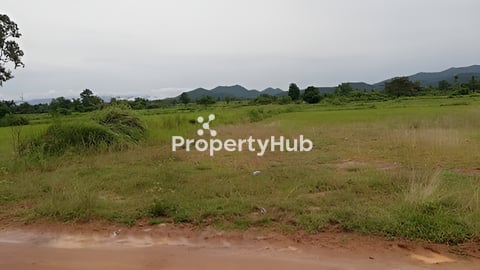 ដីស្រែ ក្បាល៨០មជាប់ផ្លូវភ្លេីងរដ្ឋ៣ហ្វាស ប្លង់រឹង