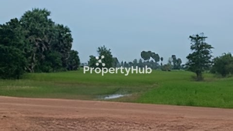 ដីស្រែនៅសំរោងទងជាប់ផ្លូវភូមិនិងផ្លូវរទេះ។