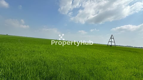 ដីលក់បន្ទាន់ ក្រុងសំពៅពូន ស្រុកកោះធំ 6$/ម2