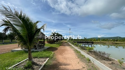 ដីលំហែរ 40x65m ស្ថិតនៅ តំបន់ រម្មណីយដ្ឋាន កំពូលពេជ្រ អន្លង់ភ្ញៀវ