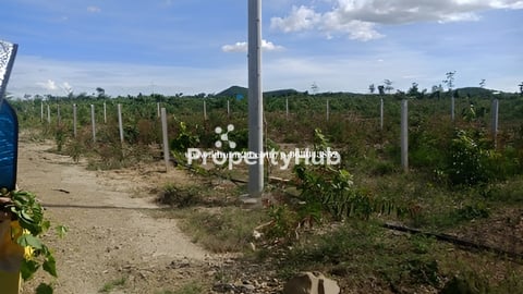 ដីលក់ទំហំ 20*25m ក្រុងច្បារមន ខេត្តកំពង់ស្ពឺ