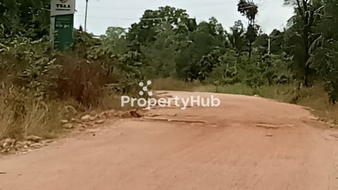 ដីលក់បន្ទាន់ ផ្លូវ43