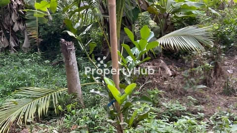 ដីលក់ ដីផ្ទាល់ខ្លួន