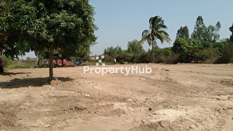 ដីលក់នៅលើផ្លូវជាតិ លេខ៥  (34*100)