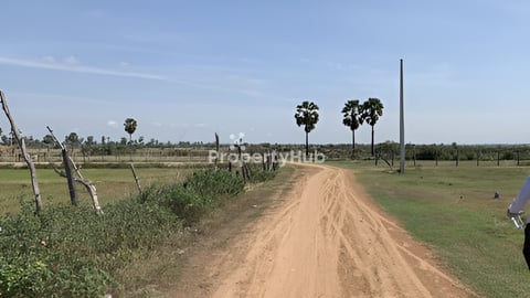 ដីលក់បន្ទាន់​ ស្ថិតក្នុងតំបន់អភិវឌ្ឍន៍ខ្លាំង​ ទំនប់កប់ស្រូវ