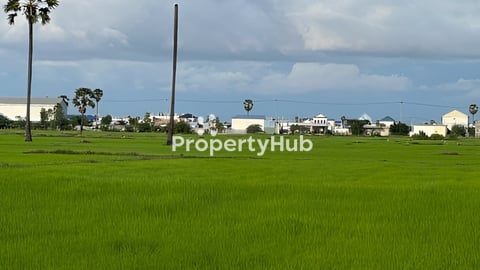 ដីលក់បន្ទាន់ជាប់ផ្លូវ30m (10m x20m)ជាប់ផ្លូវជាតិ143 ក្រោយផ្សារបែកចាន