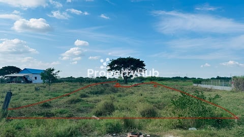 ដីលក់នៅសិត្បូ