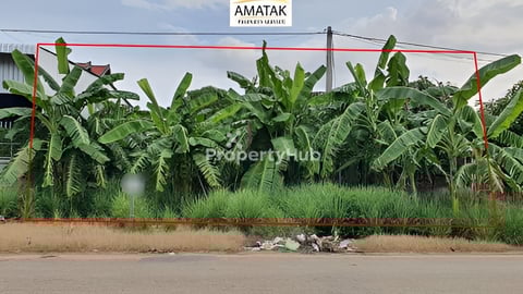 ដីលក់តម្លៃល្អនៅអរិយក្សត្រ!