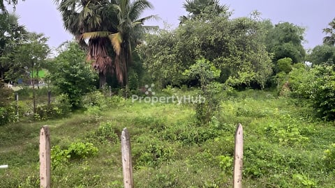 ដីលក់នៅវិហាសួហ័លក់បន្ទាន់