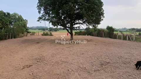 ដីលក់នៅក្រុងអរិយ្យក្សត្រ