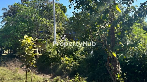 1400m2 ដីភូមិមានបង្គោលភ្លើងប្លង់រឹង ទិញទុកមិនខុសបើគេចាក់ថ្នល់កៅស៊ូហើយទ្បើង1*3