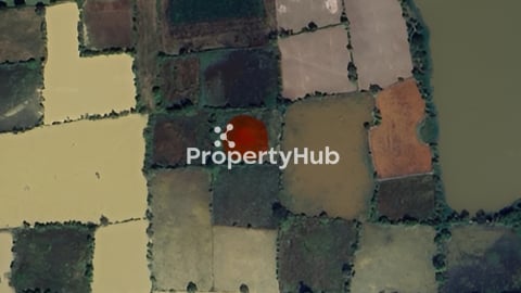 បញ្ចុះតំលៃពី $1M មកត្រឹមតែ $826,000 ដីស្រែក្នុងក្រុង  ភ្នំពេញ សង្កាត់ សាក់សំពៅ 500m ពីផ្លូវ 60m