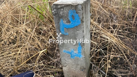 ដីសម្រាប់លក់