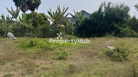 ដីលក់ បន្ទាន់ 8០០០$