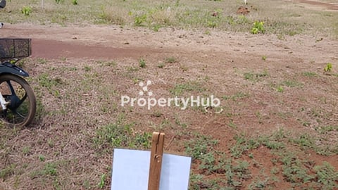 ដីលក់ឬដូឡានក៏បាន បញ្ជាក់មានឡូត៌កែង