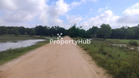 ដីលក់បន្ទាន់ក្រុងបាវិតប្រញាប់លុយ 50m×115m