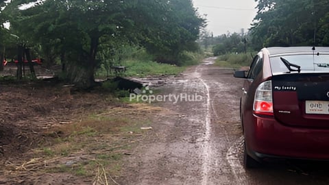 ដីនៅព្រះវិហារ ប្លង់រឹង ២ប្លង់លក់តែ$10000ឡៃឡុង   លេខទំនាក់ទំនង 093878199