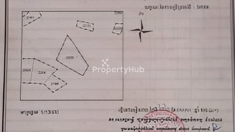 ខេត្ត​ សៀមរាប​ លេីផ្លូវ​ 30ម៉ែត្រ​