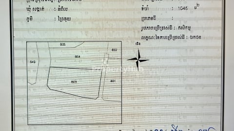 ដីលក់23x43mសរុបផ្ទៃក្រឡា1045m2ដីក្នុងភូមិព្រៃគុយខេត្តសៀមរាប