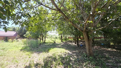 ដីលំនៅឋានលក់