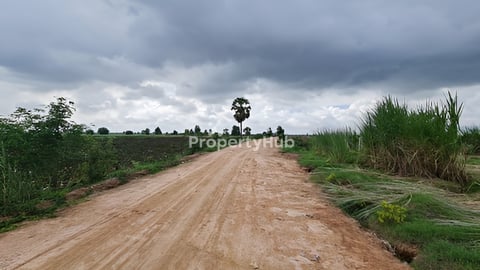ដីលក់នៅឃុំពុកឬស្សី ស្រុកខ្សាច់កណ្តាល ខេត្តកណ្តាល 697500$អាចចុះបានទៀត
