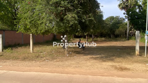 ដីលក់ក្រោមទីផ្សារ500មពីភ្នំឧដុង្គ