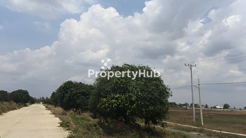 ដីលក់ផ្លូវ20m