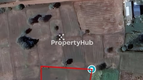 🟢 ដីស្រែ 27អារ លក់ម៉ៅ 💰 តម្លៃចរចា!