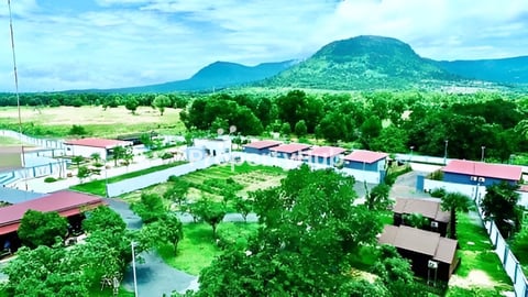 រីសត លក់បន្ទាន់