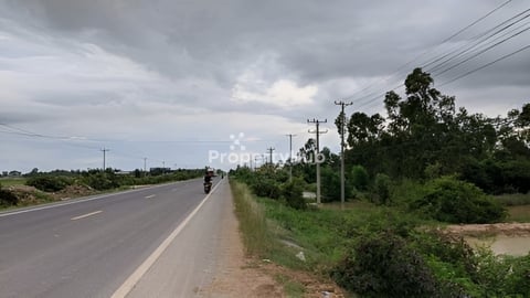 ដីជាប់ផ្លូវជាតិលេខ ១១ ជិតទីរួមខេត្តព្រៃវែង លក់បន្ទាន់