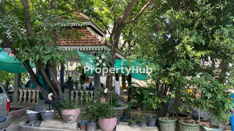 House for Rent – Tuol Kork (TK) with green garden