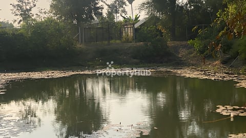 ដីលក់បន្ទាន់ ក្បែរតំបន់អភិវឌ្ឍន៍សួនបៃតង