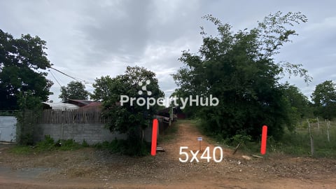 ដីលក់នៅជិតផ្សា317 ពិជ្រនិល កំពត ទទឹង 5m បណ្តោយ40m