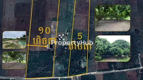 ដីចំការលក់ $9999