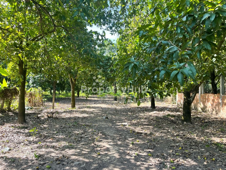 Property 2