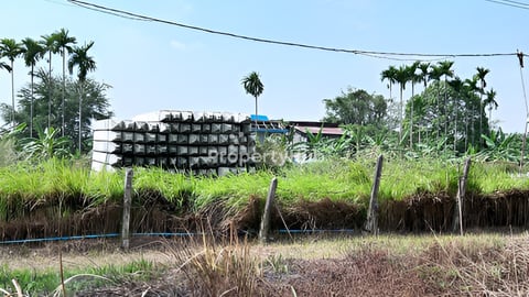 លក់ប្រញ៉ាប់លុយ