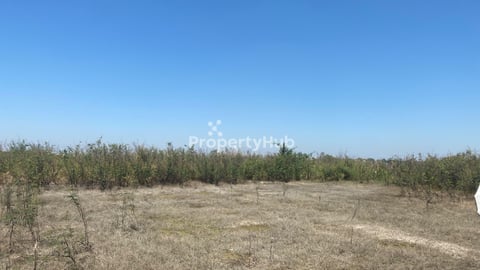 ដីលក់បន្ទាន់ទំហំ983ម៉ែតការ៉េនៅ60ឞមើលពីដីឃើញEon3ច្បាស់ 
