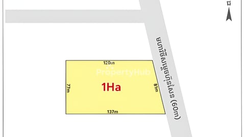Land for Sale on Samdech Hun Sen Blvd (60m) near Aeon 3 on the right