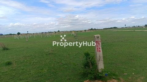 ដីលក់(តំបន់ភ្នំប្រសិត​ និងបឹងតាមោក)