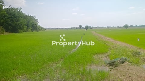 ដីលក់បន្ទាន់នៅស្រុកល្វាឯម