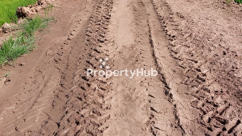 ដីស្រែស្រុកល្វាឯមលក់បន្ទាន់