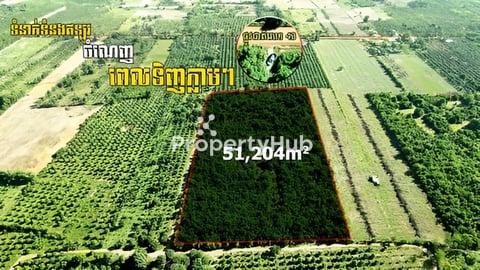ដីលក់5ហិកតាផ្លូវជាតិលេខ43