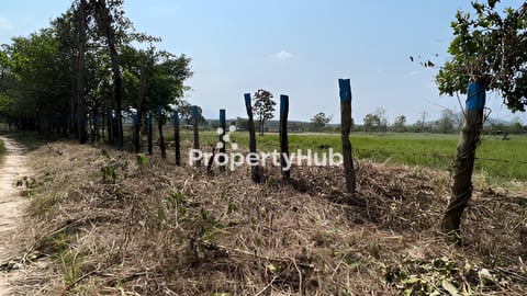 (ដីប្លង់រឹង) ដីស្អាតជាប់មាត់ស្ទឹង អាចដាំដំណាំ ឫ រីស៊តបាន នៅក្បែររមណីយដ្ឋាន ថ្មរូ