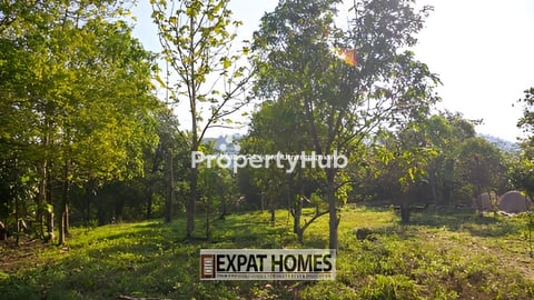 Land for Sale on National Road No.4 - ដីលក់ ជាប់ផ្លូវជាតិលេខ​4